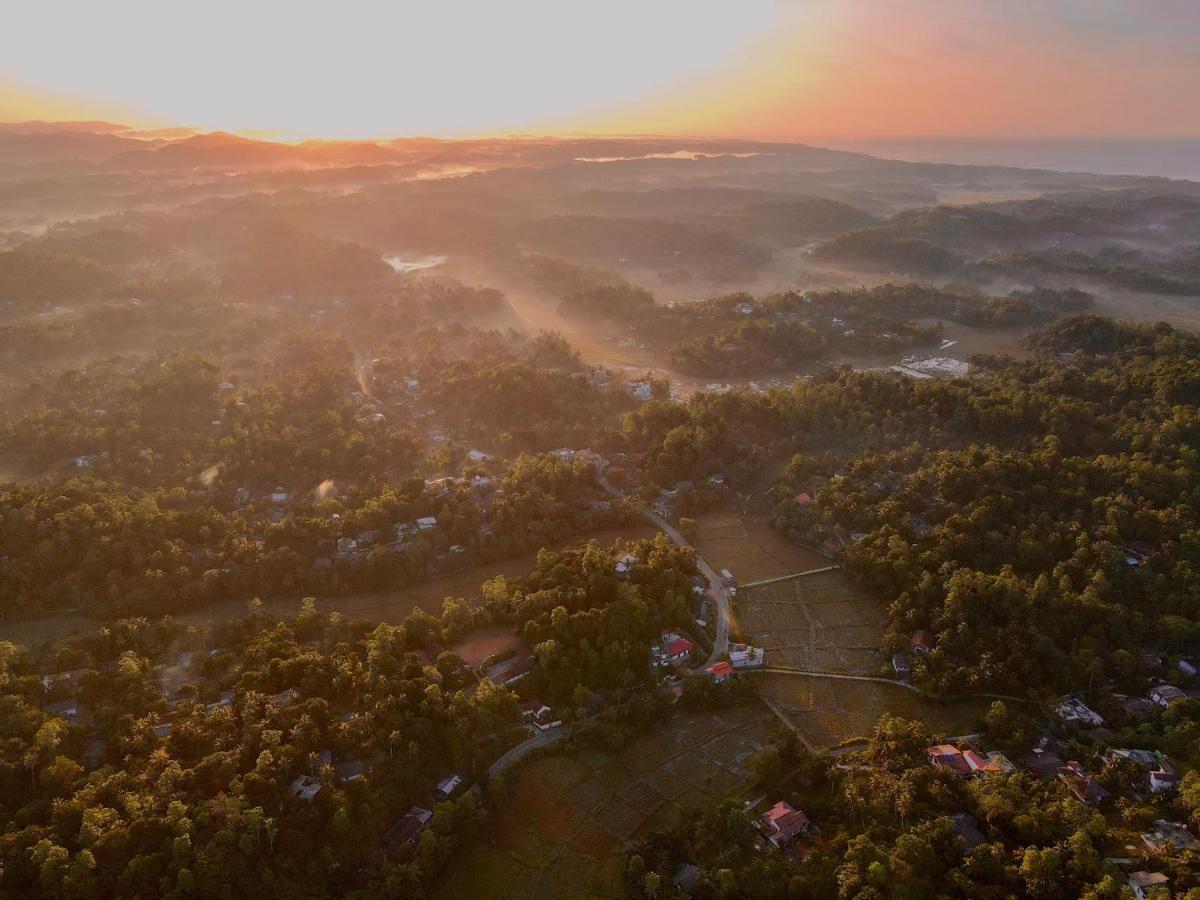 The Jungle Loft Галле Экстерьер фото