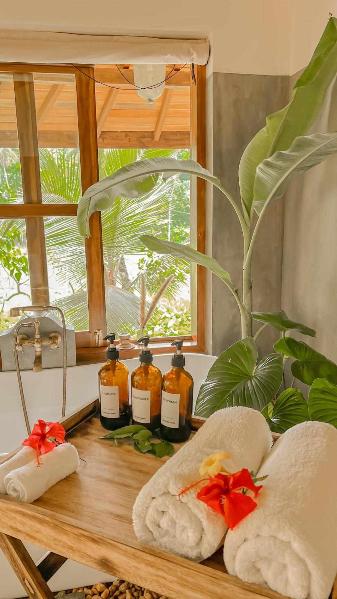 The Jungle Loft Галле Экстерьер фото